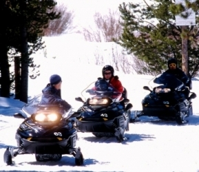 Breckenridge Snowmobiling At Georgia Pass
