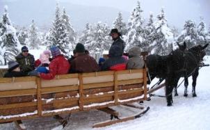 Breckenridge Sleigh Ride