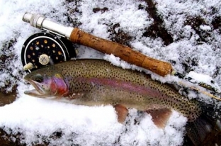 Breckenridge Fly Fishing